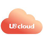 U8 cloud财务管理应用